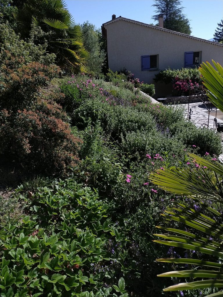 entretien de jardin Oraison