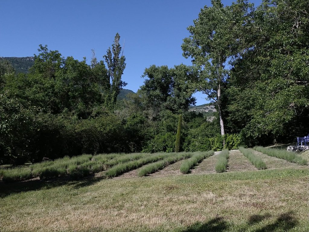 entretien de jardin Manosque