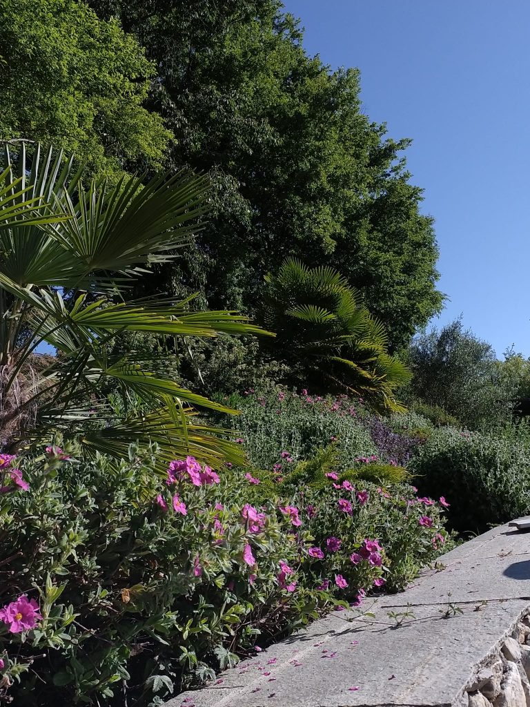 Entretien jardin Alpes de haute Provence