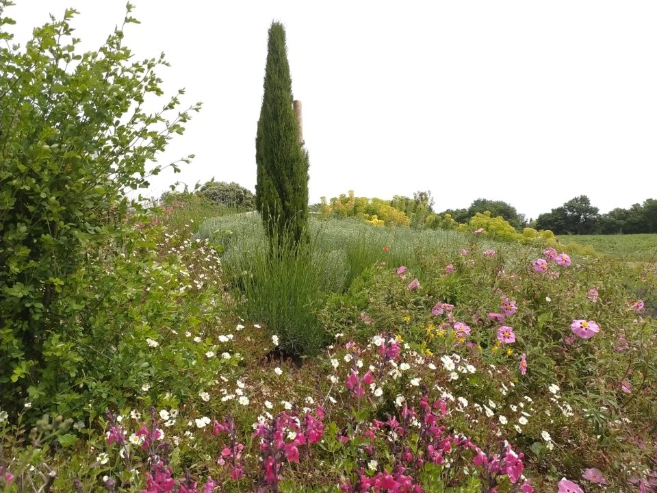 ardin naturel provençal